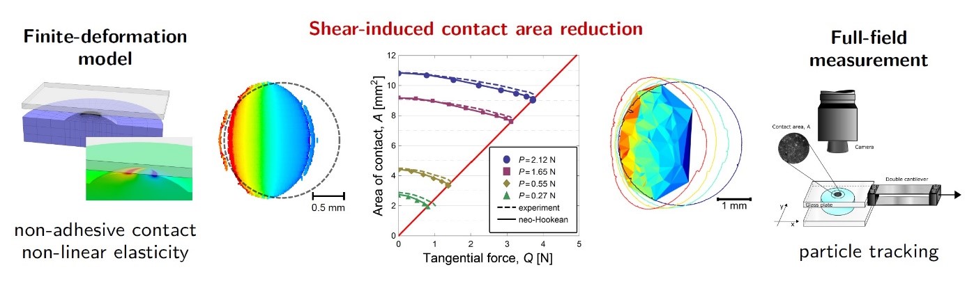 shear-induced contact area reduction