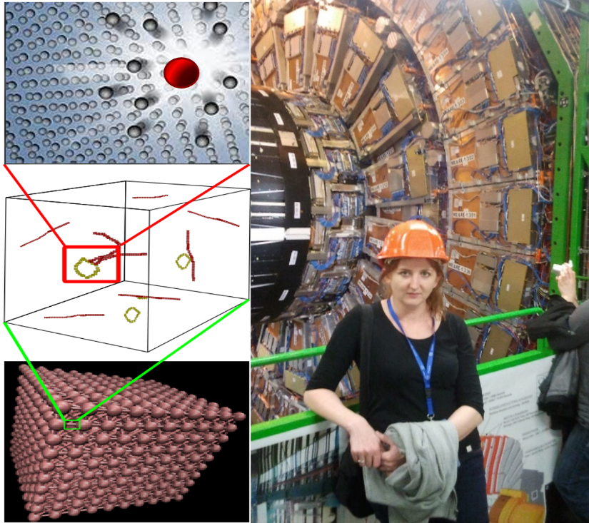 Wieloskalowe Modelowanie Defektów, CERN