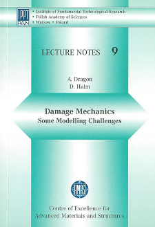 Damage Mechanics: Some Modelling Challenges